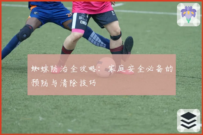 蜘蛛防治全攻略:家庭安全必备的预防与清除技巧