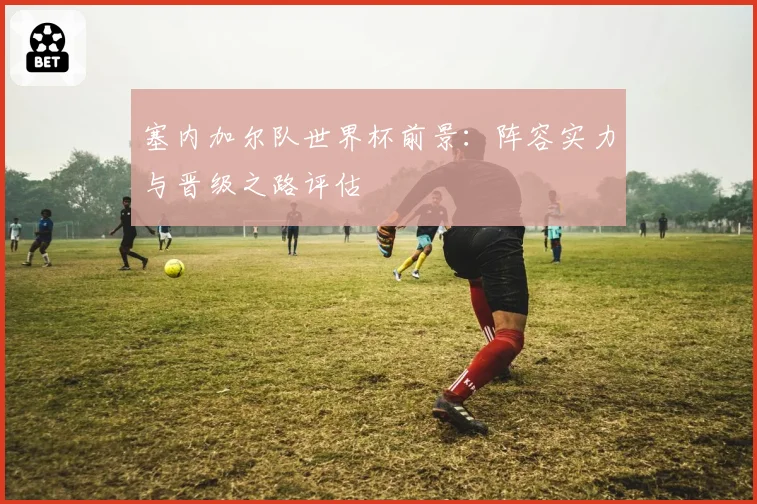 塞内加尔队世界杯前景:阵容实力与晋级之路评估
