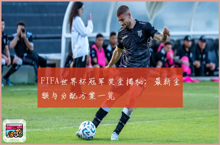 FIFA世界杯冠军奖金揭秘:最新金额与分配方案一览