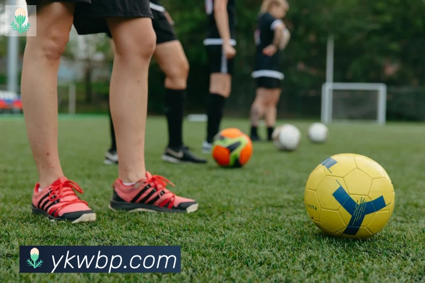 多媒体互动体验