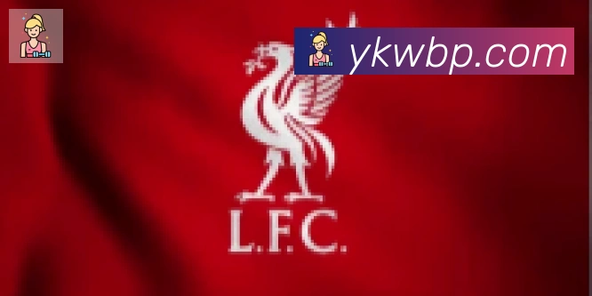 hth华体网页版登录入口合作伙伴