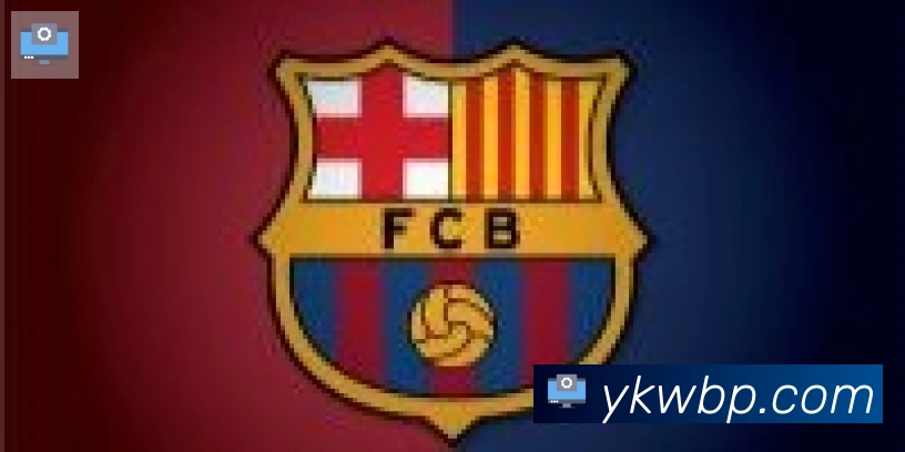 hth华体网页版登录入口合作伙伴