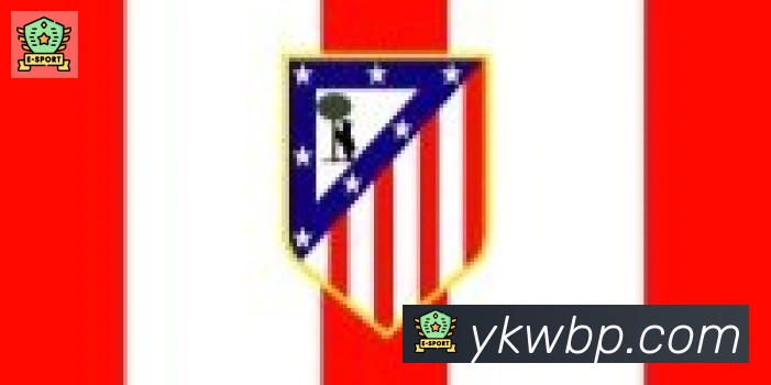 hth华体网页版登录入口合作伙伴